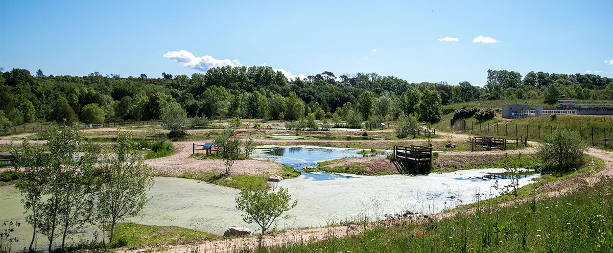 Station d'épuration d'Aix-Ouest : un laboratoire de biodiversité à ciel ouvert