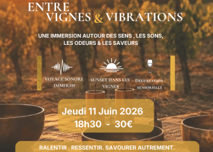 Expérience Immersive Entre Vigne & Vibrations