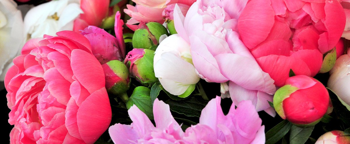 Marché "Prêcheur Fleurs" déplacé