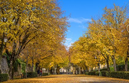 Le parc naturel urbain continue son chemin