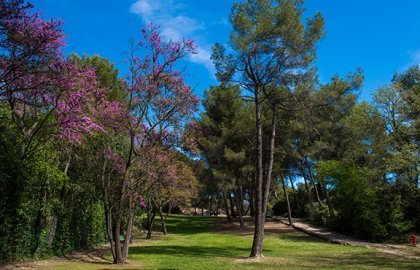 Parc des collines de Cuques