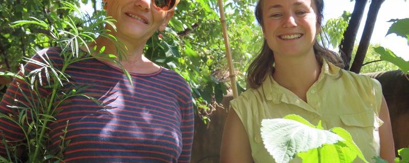 Jardin d'art et d'essai participatif