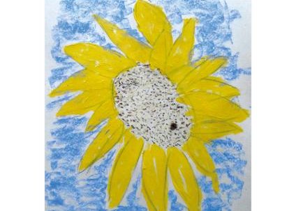 Exposition - Ambi - Soleil bleu