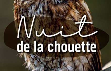 Nuit de la Chouette - balades urbaines