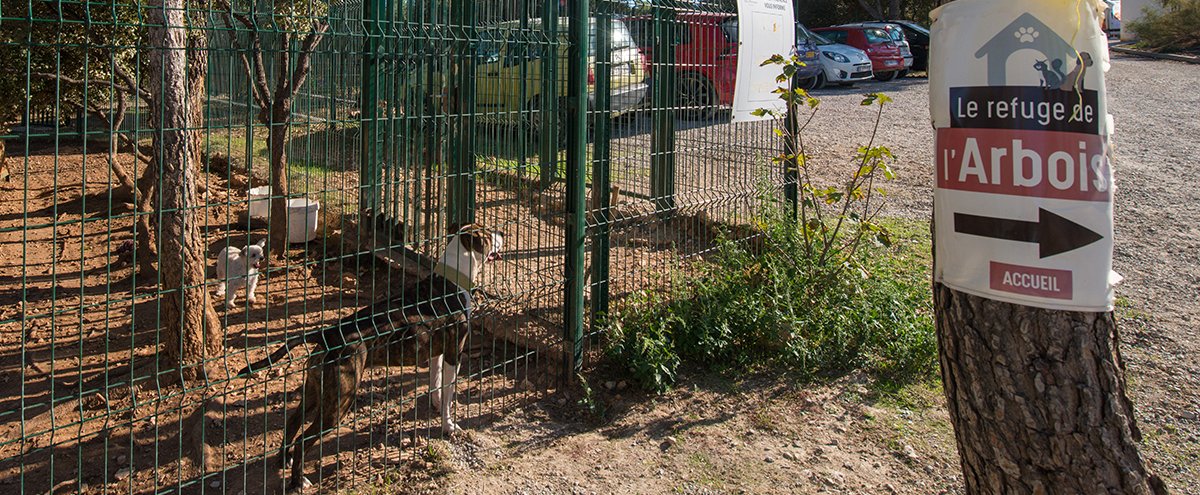Le complexe animalier de l'Arbois