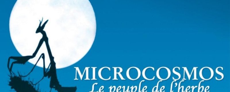 Ciné des jeunes - Microcosmos : le peuple de l'herbe