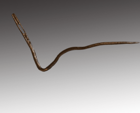 Aiguille - Antiquité