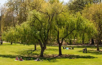 Parcs et jardins