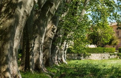 Domaine du Grand Saint Jean