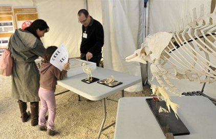 Présentation du Muséum d'histoire naturelle