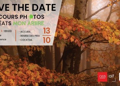 Remise des prix Concours photos Mon Arbre