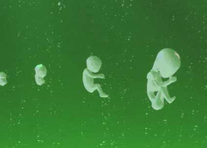 Créatures de substitution