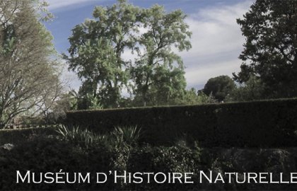 Programme des conférences du Muséum