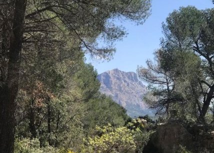 Les Carrières de Bibémus