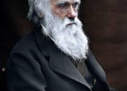 Conférence : De Darwin au darwinisme social