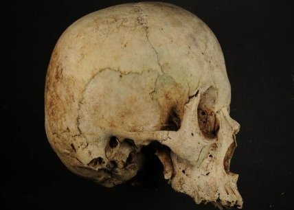 Le Corps saisi par la sociologie et l'anthropologie : un support de valeurs