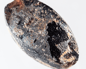 Perle en verre - Antiquité