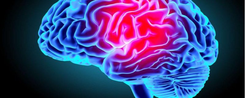 10 idées reçues sur le cerveau