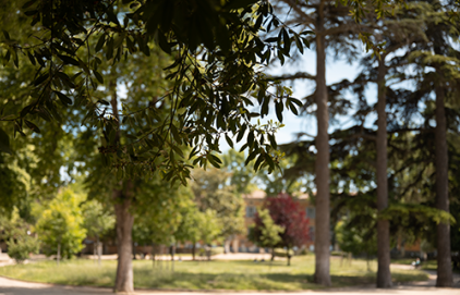 Début de la requalification du parc Rambot