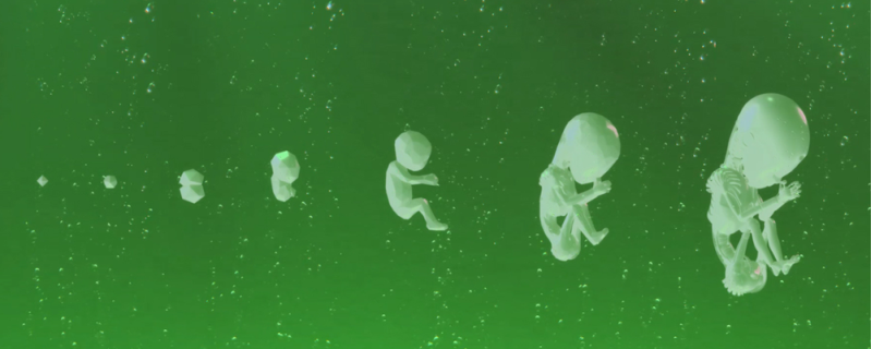 Créatures de substitution