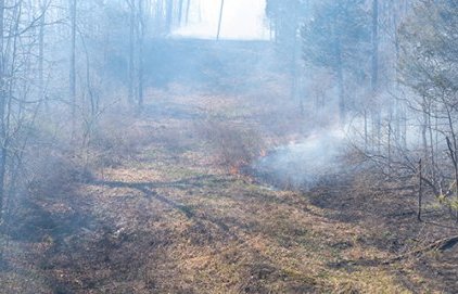 Prévention des feux de forêt, les bons réflexes
