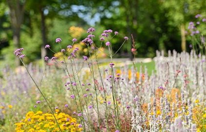 ZEBUS - Atelier parents enfants "Art des jardins"