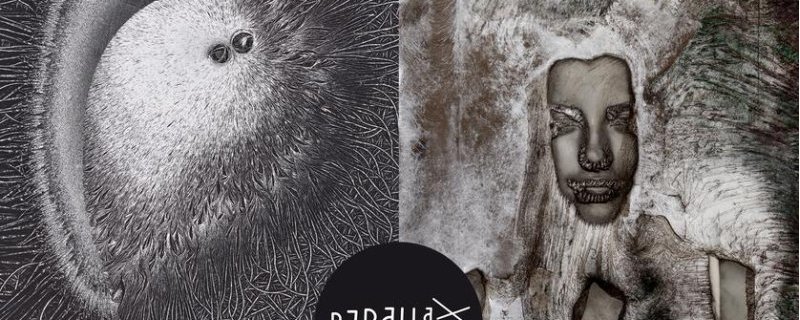 Chambre noire pour rêve clair