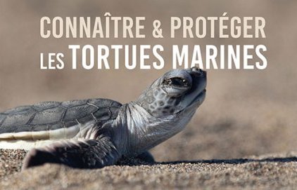 Conférence "Connaître et protéger les tortues marines"