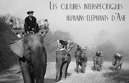 Conférence - Les cultures interspécifiques humains-éléphants d'Asie