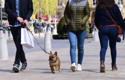 Aix obtient le label "Ville amie des animaux"