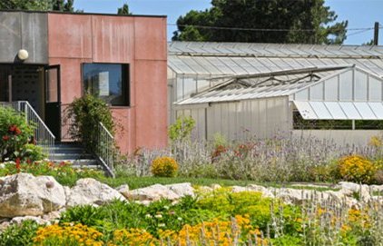 Centre horticole de Maliverny (serres municipales)