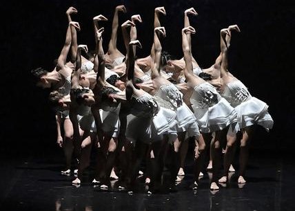 Spectacle : Angelin Preljocaj - Le Lac des Cygnes