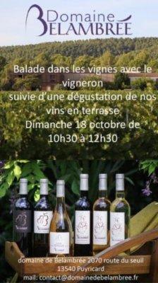 Dans les pas du vigneron au Domaine de Belambrée