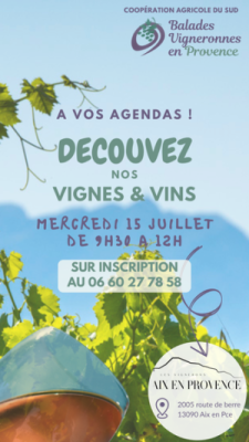 Découverte Vignes & Vins de la cave