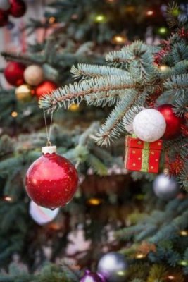 Sapin de Noël géant et la boîte aux lettres du Père Noël