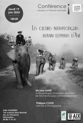 Les cultures interspécifiques humains - éléphants d'Asie