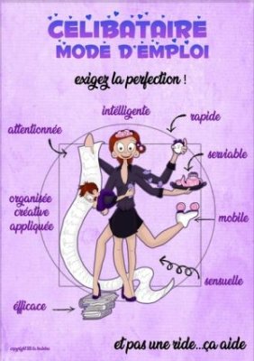 Célibataire mode d'emploi