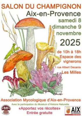 Salon du champignon