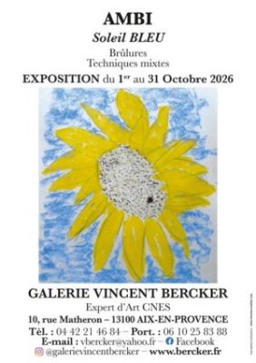 Exposition - Ambi - Soleil bleu