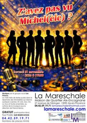 Spectacle - Z'avez pas vu Michel(èle)
