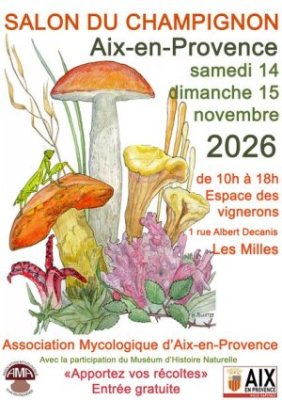 Salon du champignon