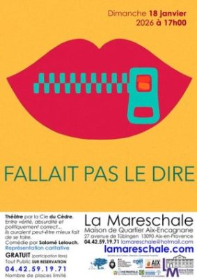 Spectacle - Fallait pas le dire