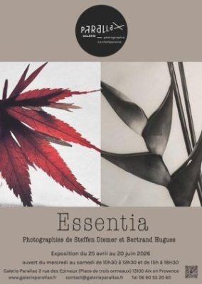 Exposition : Essentia