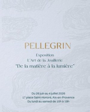 Exposition Pellegrin - L'art de la Joaillerie, de la Matière à la Lumière
