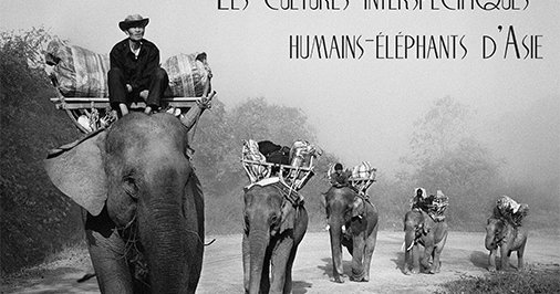会議 – 人間 – アジアの象の人間文化