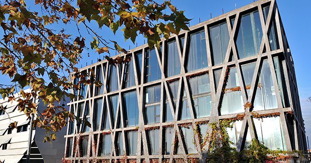 Secrets de Provence: à la découverte du Pavillon noir