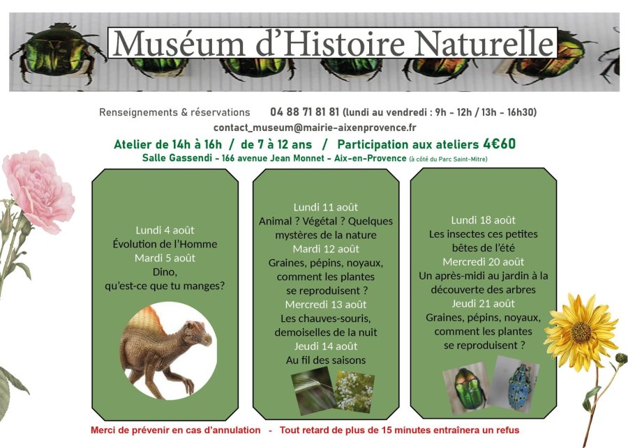 Programme d'août 2025